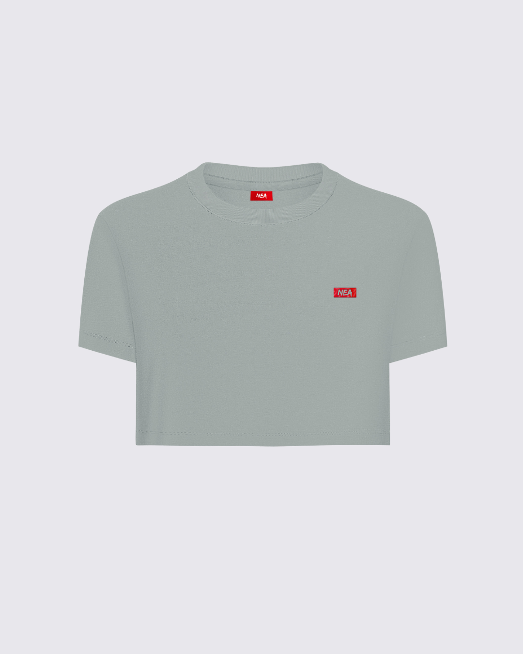 CROP TOP ACTIVISM SILVER NEA